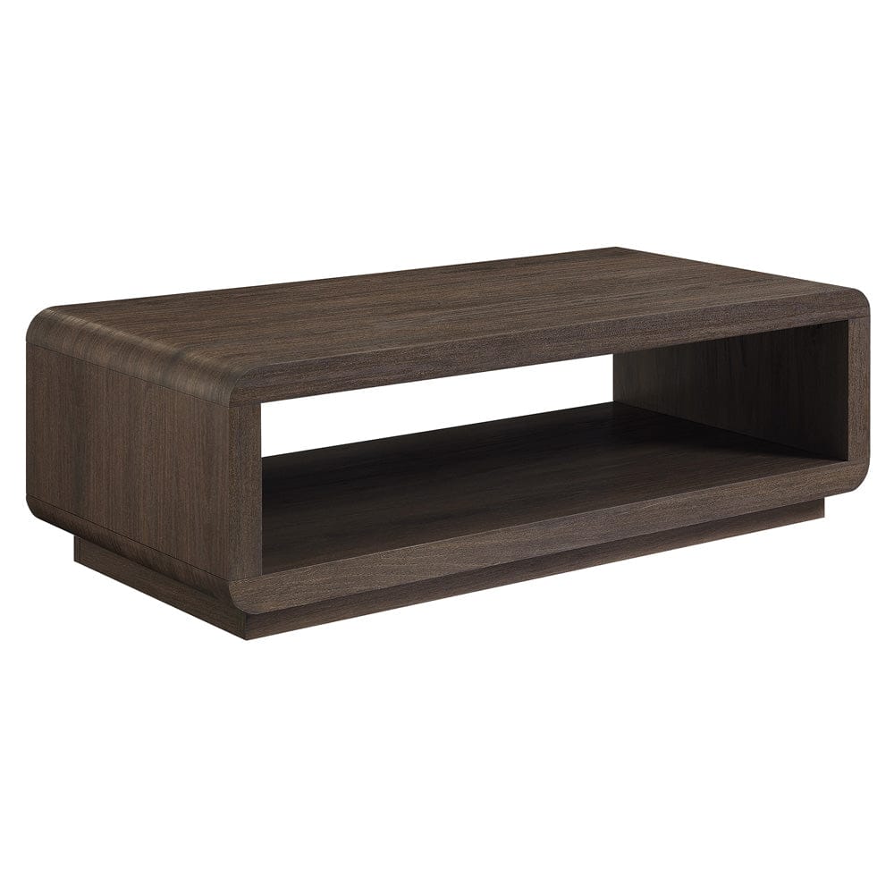Hudson & Canal - Lonni 47" Wide Rectangular Coffee Table in Brown Oak - CT2448 view 1
