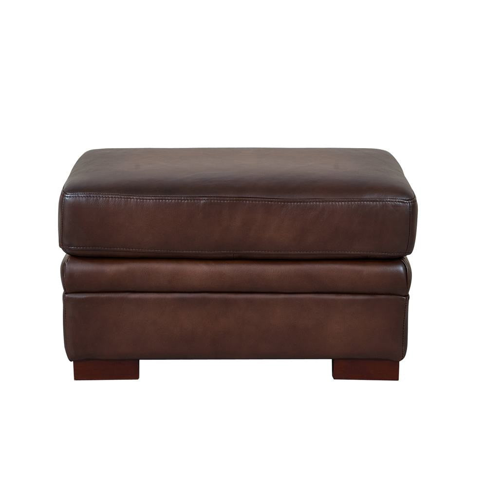 Hydeline - Brookfield Ottoman in Caramel - 6973-00-1866A veiw 1