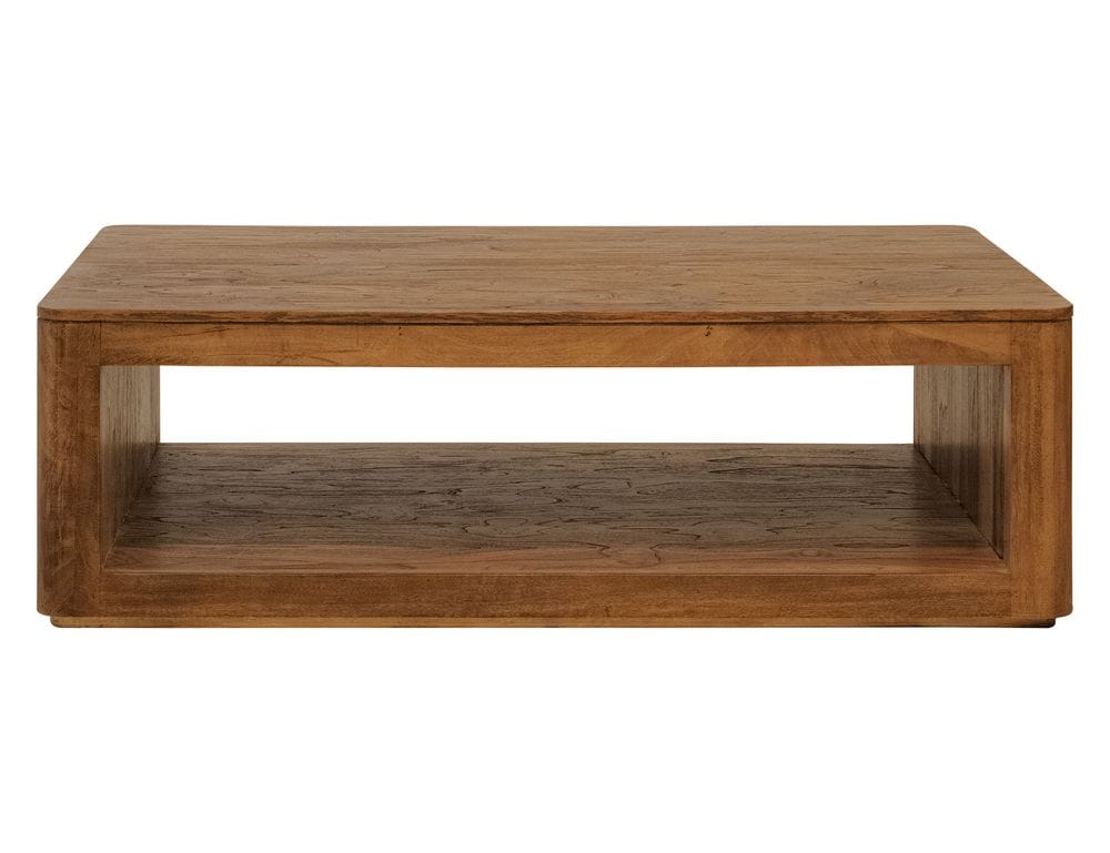 IFD - Balam - 1 Shelf, Cocktail Table in Brown - IFD4223CKT view 2