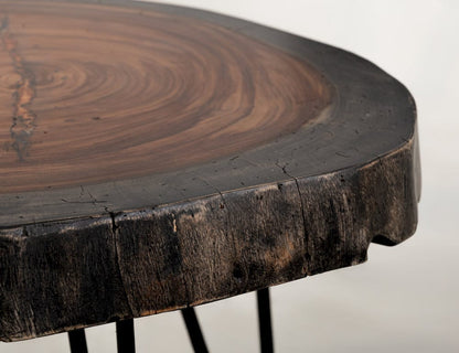 IFD  - Parota Epoxy  - Live Edge End Table  - IFD8351ENDOR view 6