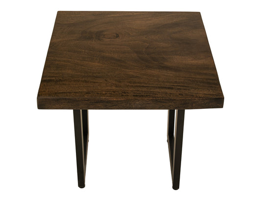 IFD - Raramuri - End Table in Bramble Bush Brown - IFD4851END view 1