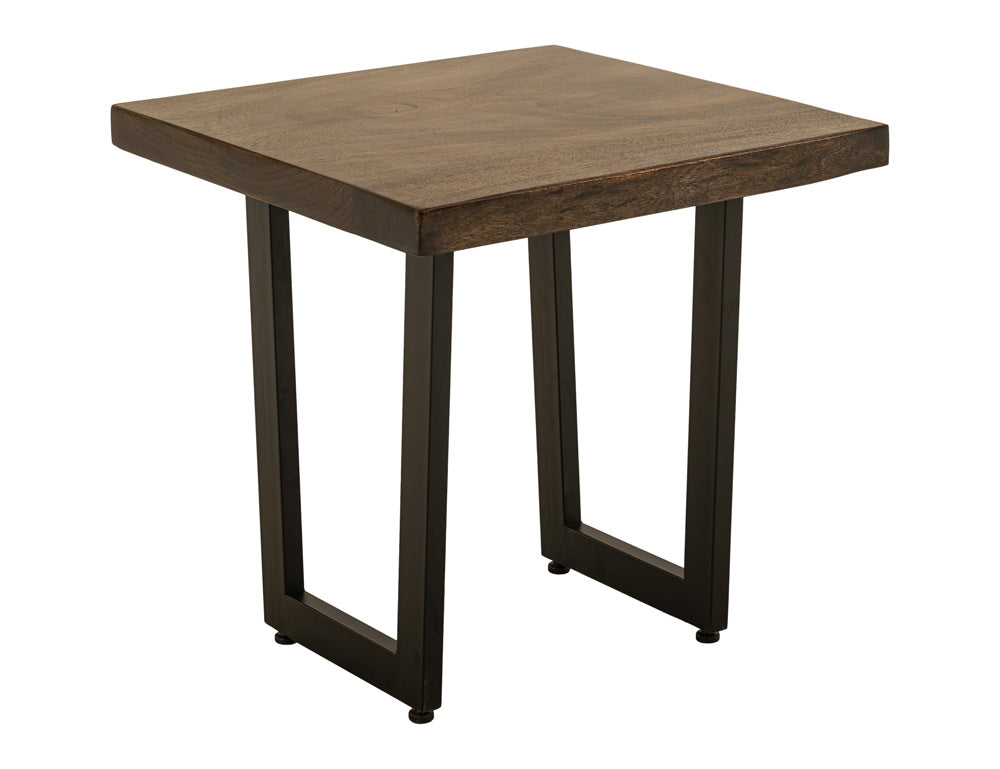 IFD - Raramuri - End Table in Bramble Bush Brown - IFD4851END view 2