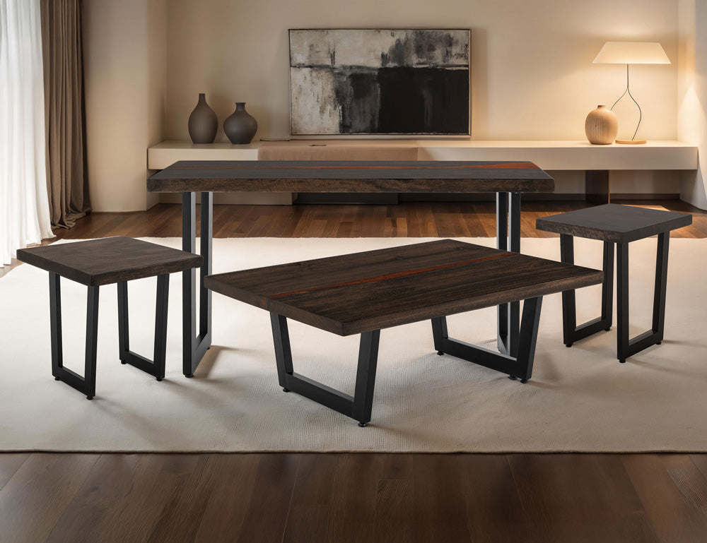 IFD - Raramuri - End Table in Bramble Bush Brown - IFD4851END view 3