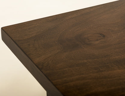 IFD - Raramuri - End Table in Bramble Bush Brown - IFD4851END view 6