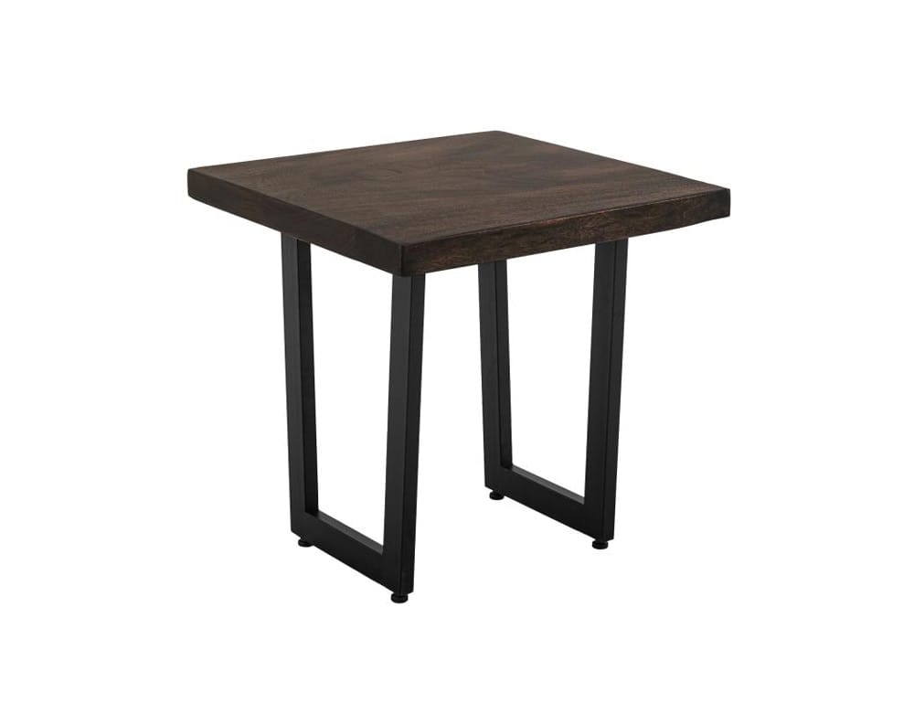 IFD - Raramuri - End Table in Bramble Bush Brown - IFD4851END veiw 1