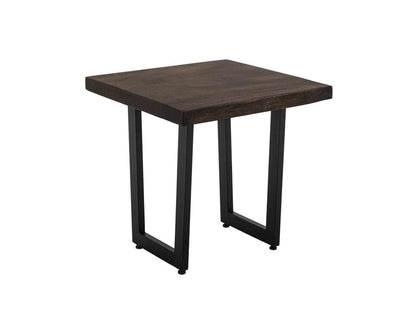 IFD - Raramuri - End Table in Bramble Bush Brown - IFD4851END veiw 1