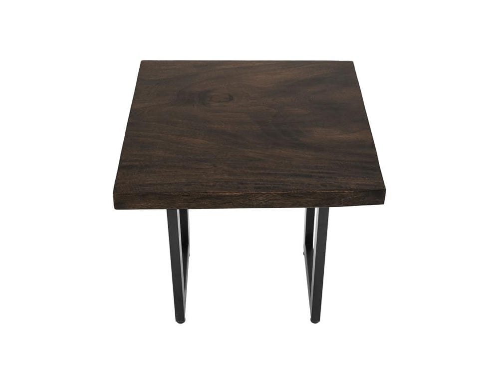 IFD - Raramuri - End Table in Bramble Bush Brown - IFD4851END veiw 3