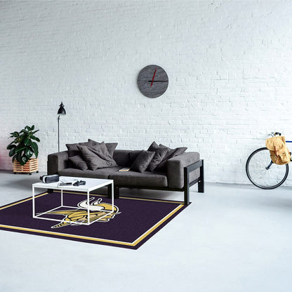 Imperial - NFL Minnesota Vikings 4x6 Spirit Rug - IMP  521-5007 view 2