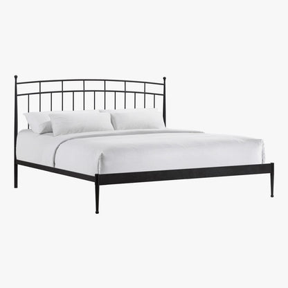 Intercon Furniture - Traditional King Metal Bed in Matte - MB-BR-TRDKNG-MTE-C view 1