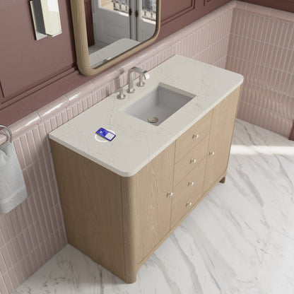 James Martin - Gracyn 48" Single Vanity, Coastal Driftwood, w/ 3 CM Siberian Silestone Top w/FreePower Wireless Charger - D125-V48-CSD-FSFR view 5
