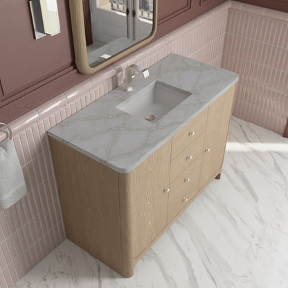 James Martin - Gracyn 48" Single Vanity, Coastal Driftwood, w/ 3 CM Victorian Silver Quartz Top - D125-V48-CSD-3VSL view 7