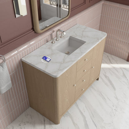 James Martin - Gracyn 48" Single Vanity, Coastal Driftwood, w/ 3 CM Victorian Silver Silestone Top w/ FreePower Wireless Charger - D125-V48-CSD-FVSL view 7