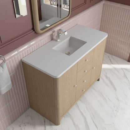 James Martin - Gracyn 48" Single Vanity, Coastal Driftwood, w/ 3 CM White Zeus Quartz Top - D125-V48-CSD-3WZ view 7