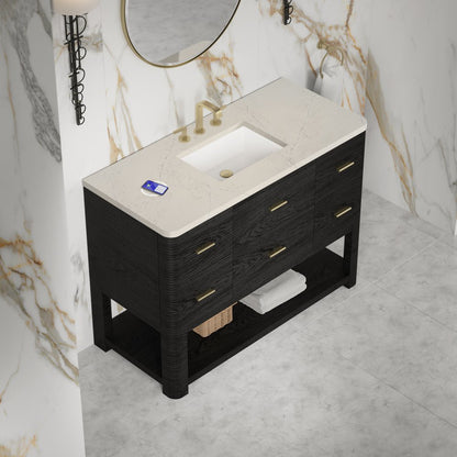 James Martin - Lucian 48" Single Vanity, Carbon Oak, w/ 3 CM Siberian Silestone Top w/FreePower Wireless Charger - D704-V48-CBO-FSFR view 5