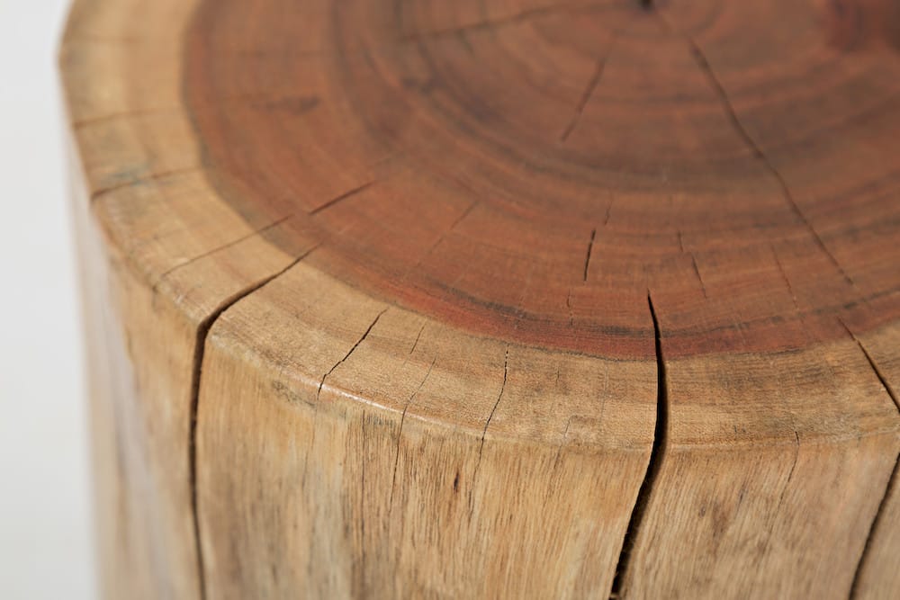 Jofran - Global Archive Hardwood Stump Accent Table - 1730-12 view 7