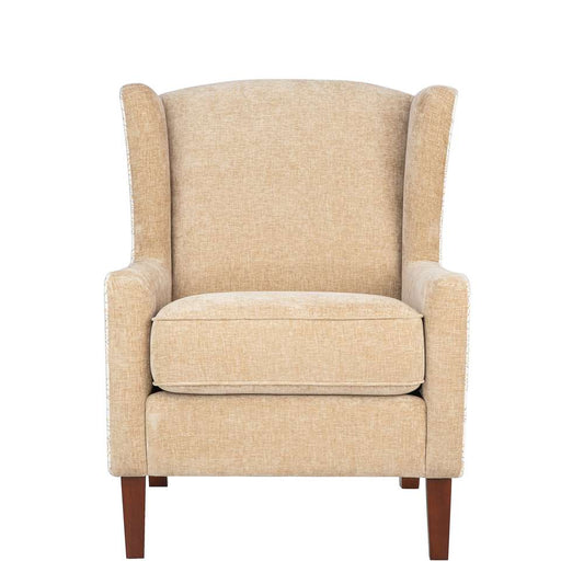 Jofran - Thompson Traditional Classic Wingback Upholstered Accent Chair, Blue Paisley - THOMPSON-CH-MULTI veiw 1