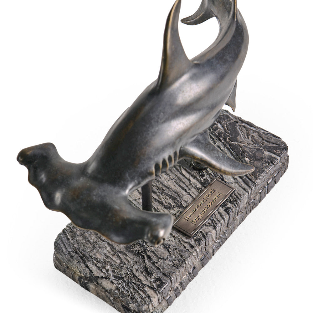 Jonathan Charles Fine Furniture - Arc Hammerhead Shark Bronze Statue with Marble Base - 496216-DRB view 18