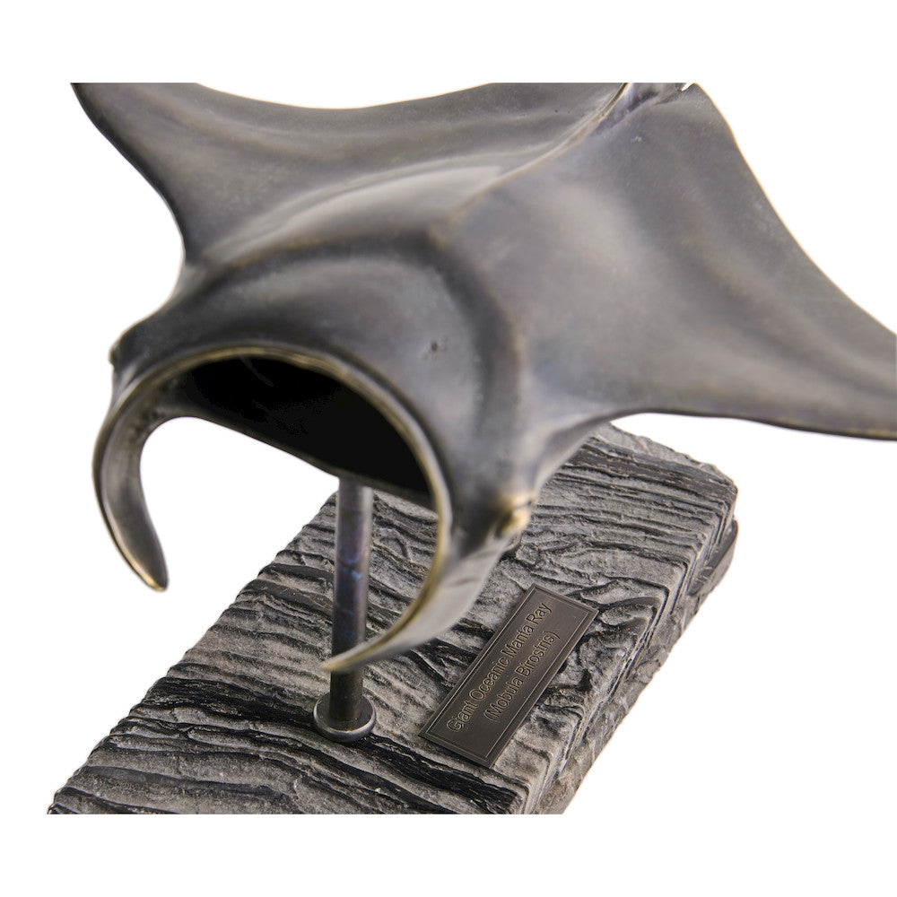 Jonathan Charles Fine Furniture - Manta Ray Bronze Statue with Marble Base - 496215-DRB view 8