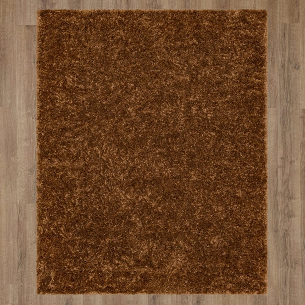 Karastan - Billow Shag Rust 7' 10" x 10' Area Rug - R1148 257 094120 IP view 7