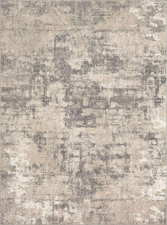 Karastan - Epiphany Agusti Frost Grey 5 3in x 7 10in Area Rug - 92206-4545-063094-IP veiw 1