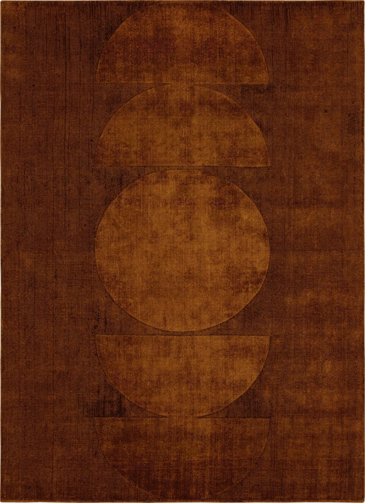 Karastan - Luna Sienna 8' x 10' Area Rug - RG862 750 096120 IB view 1