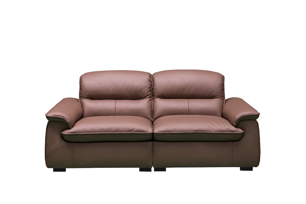 Klaussner Furniture - Skyline - Stationary Loveseat-Middle Size In A5 Series Leather - Pvc R57-P Brown view 2