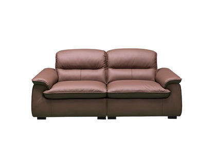 Klaussner Furniture - Skyline - Stationary Loveseat-Middle Size In A5 Series Leather - Pvc R57-P Brown view 2