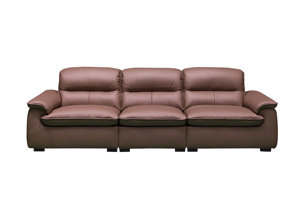 Klaussner Furniture - Skyline - Stationary Sofa-Middle Size In A5 Series Leather - Pvc R57-P Brown view 2