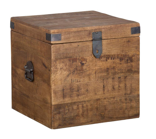 Kosas Home - Livingston 18 inch Square Trunk  - PL10296 veiw 1