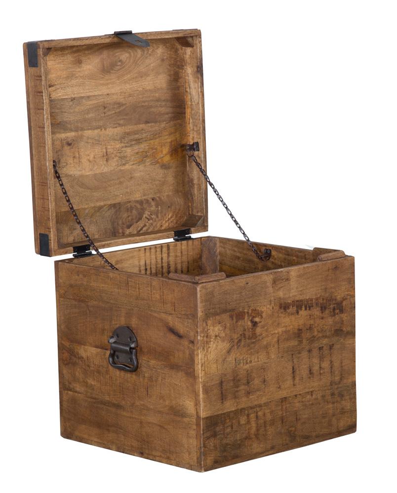 Kosas Home - Livingston 18 inch Square Trunk  - PL10296 veiw 2