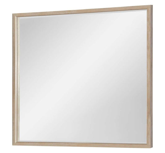 Legacy Classic Furniture - Biscayne Mirror - 1500-0200 veiw 1