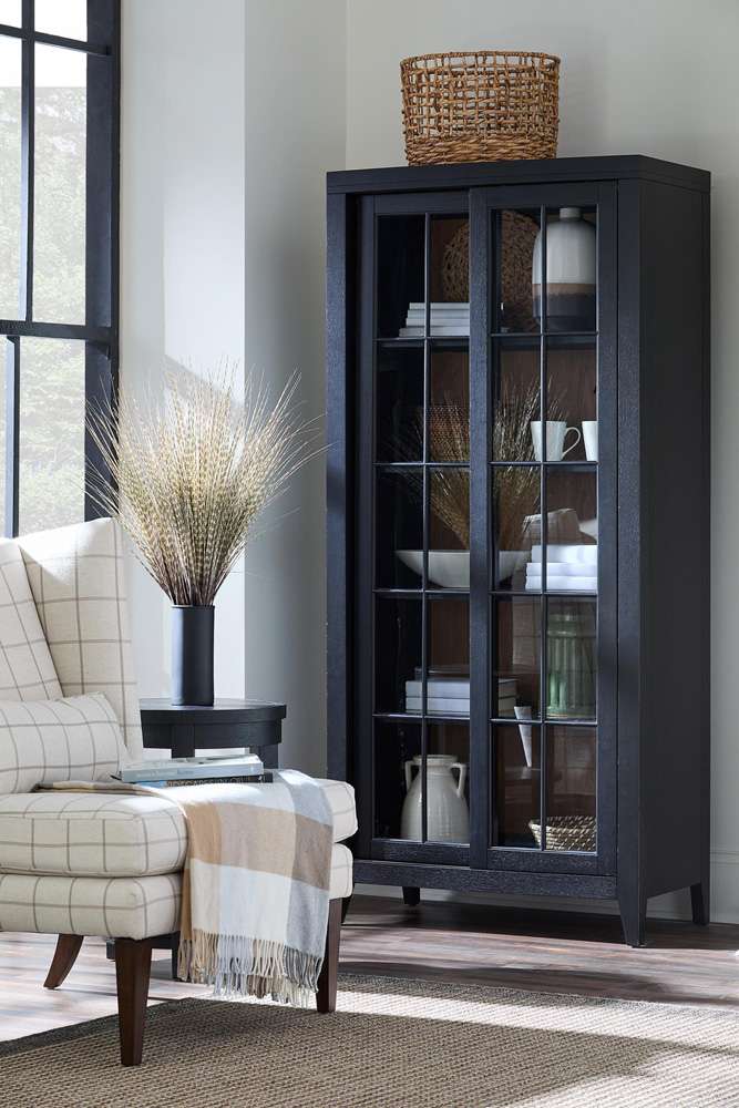 Legacy Classic Furniture - Trisha Yearwood Todays Traditions Sliding Door Display Cabinet in Blacksmith - TY657-892 veiw 2
