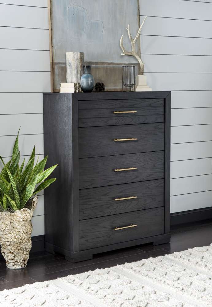 Legacy Classic Furniture  -  Westwood Dark Drawer Chest Dark Oak Finish  - 1731-2200C veiw 2