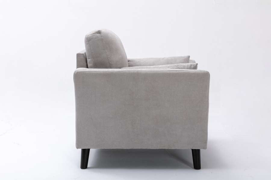 Lilola Home - Damian Light Gray Velvet Fabric Chair - 89728LG-C veiw 4