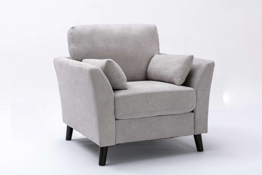 Lilola Home - Damian Light Gray Velvet Fabric Chair - 89728LG-C veiw 5