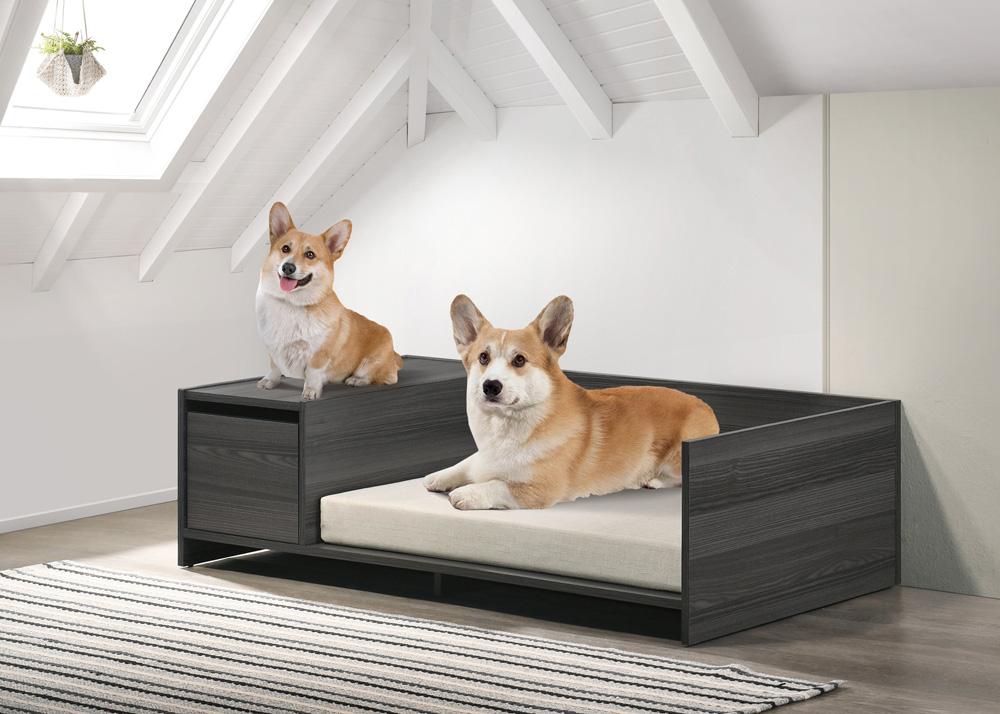 Lilola Home - Esme Ash Gray 47inW Modern Comfy Pet Bed with Cushion and Side Storage Compartment-95002 veiw 1