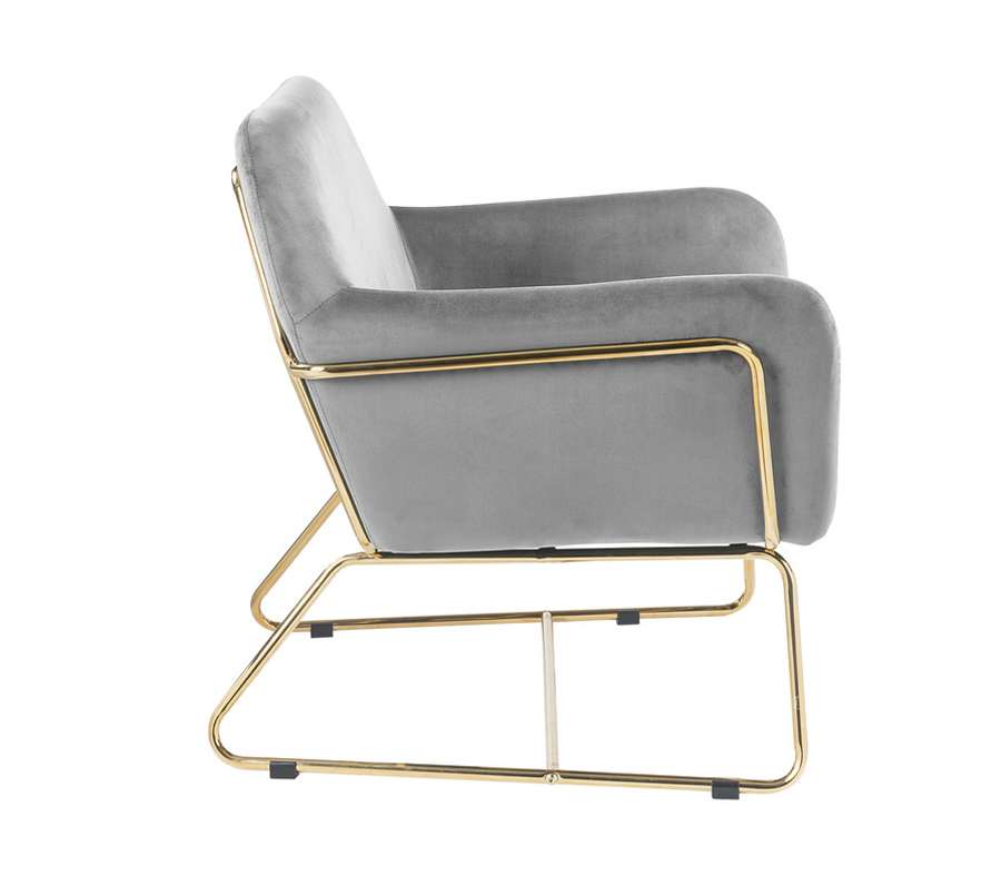 Lilola Home - Keira Gray Velvet Accent Chair with Metal Base - 88876 veiw 4