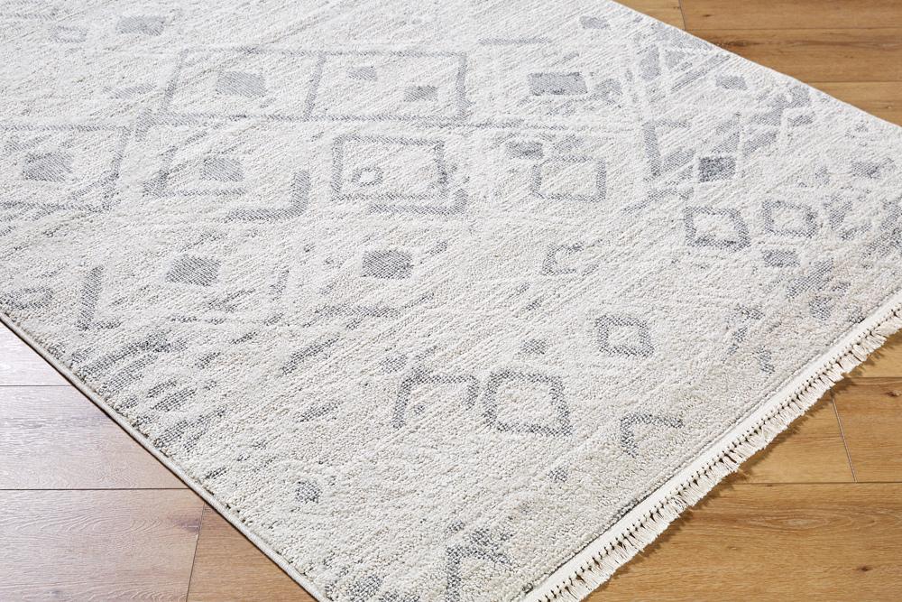 Livabliss - Berlin 27inx73in Machine Woven Rug - BLR2316-2773 veiw 3