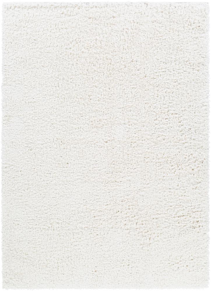 Livabliss - California Shag 53inx73in Machine Woven Rug - CAF2306-5373_CLOSEOUT veiw 1