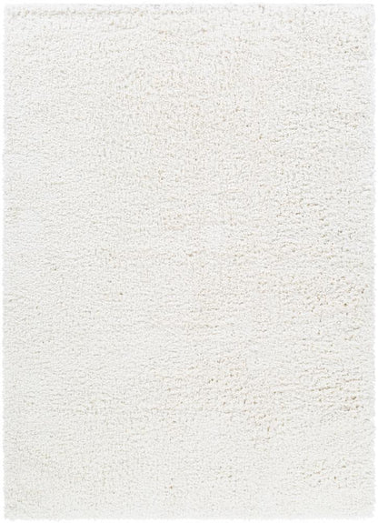 Livabliss - California Shag 53inx73in Machine Woven Rug - CAF2306-5373_CLOSEOUT veiw 1