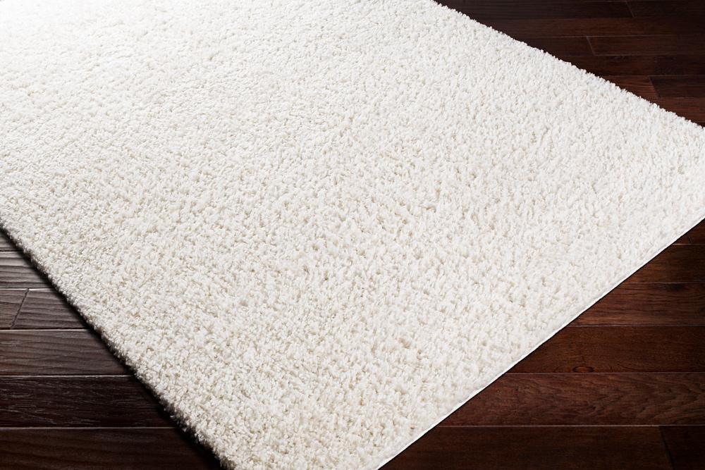 Livabliss - California Shag 53inx73in Machine Woven Rug - CAF2306-5373_CLOSEOUT veiw 2