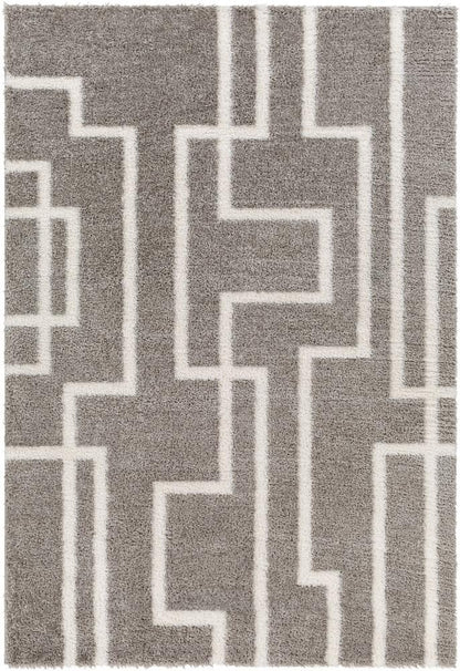 Livabliss - Cloudy Shag 53inx7 Machine Woven Rug - CDG2315-537 veiw 1