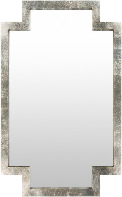 Livabliss - Dayton Full Length Mirror - Metallic - Silver - DAY001-4065 veiw 1