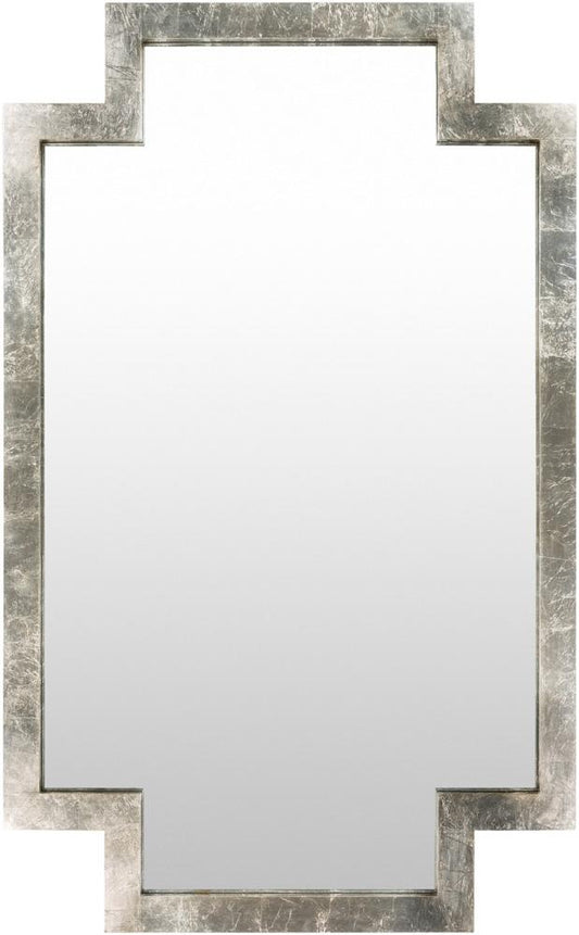 Livabliss - Dayton Full Length Mirror - Metallic - Silver - DAY001-4065 veiw 1