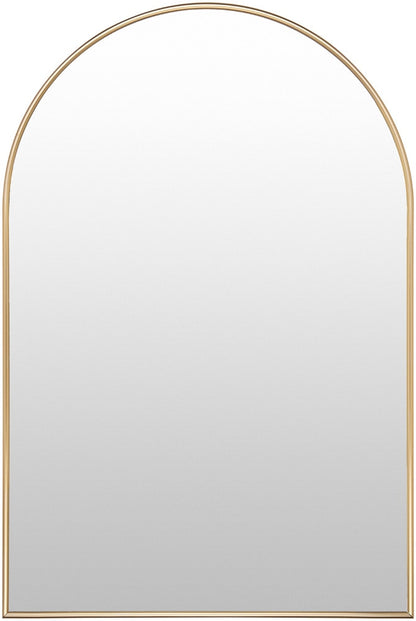 Livabliss - Maayan Accent Mirror - Gold - NMA002-3624 veiw 1