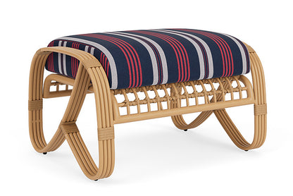 Lloyd Flanders - Riviera Ottoman In Camel Finish With Berkely Hall Navy Fabric - 2780171522063 view 2