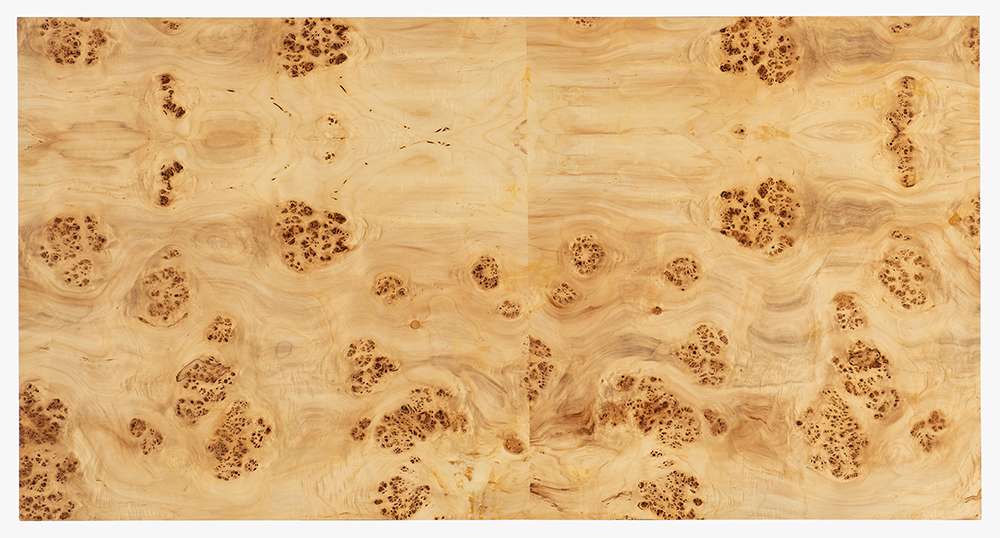 M Furnishings - Auberon Burl Coffee Table - M30-80110-80 veiw 5