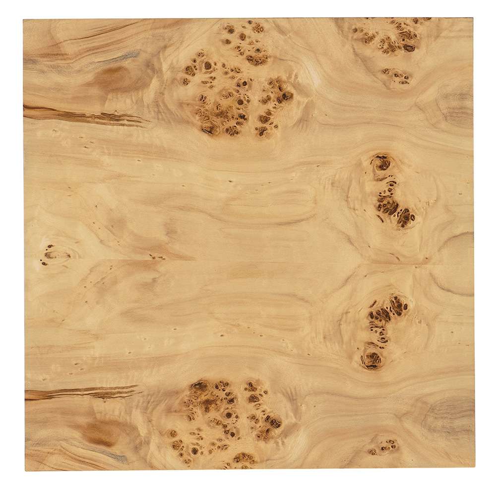 M Furnishings - Auberon Burl Side Table - M30-80113-80 veiw 8
