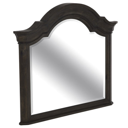 Magnussen - Bellamy Shaped Mirror - B2491-45 veiw 2