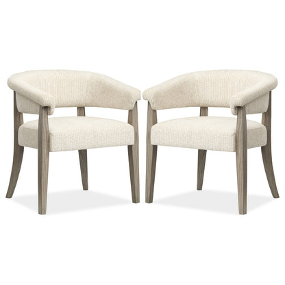 Magnussen - Braelyn Dorian Grey Upholstered Host Chair Two Pack - D5874-76 view 1